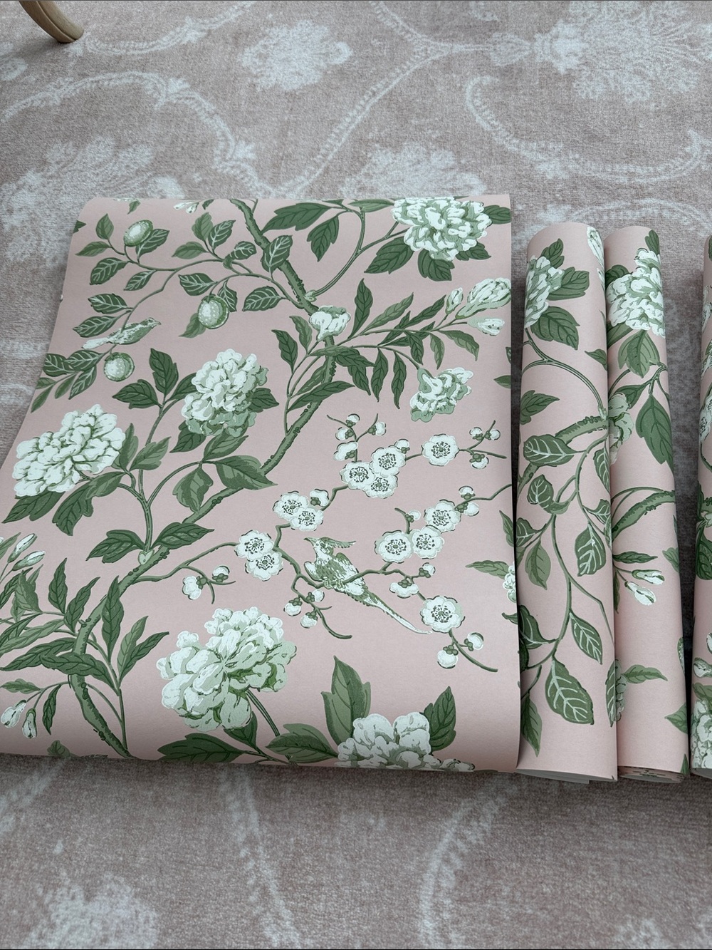 Society Social Emperor’s Garden Blush Wallpaper